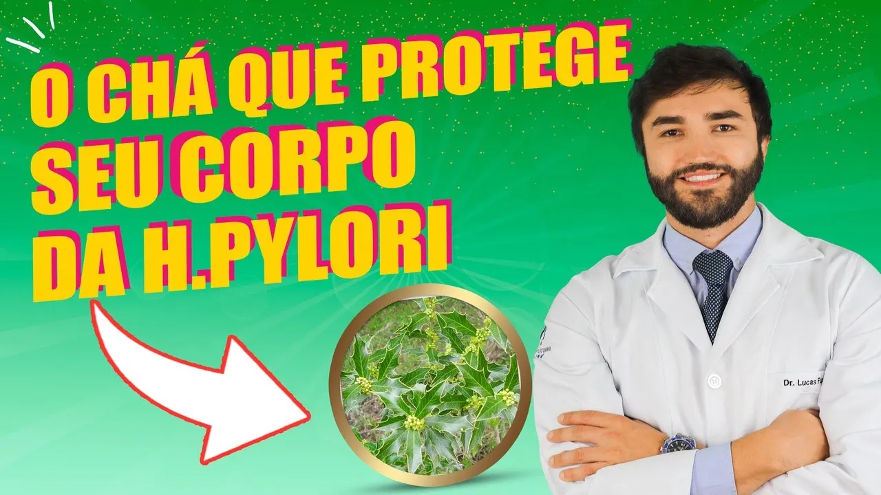 Imagem video aula doutor lucas fustinoni cuidados com cabelo cha de espinheira santa e seus beneficios para o estomago.webp