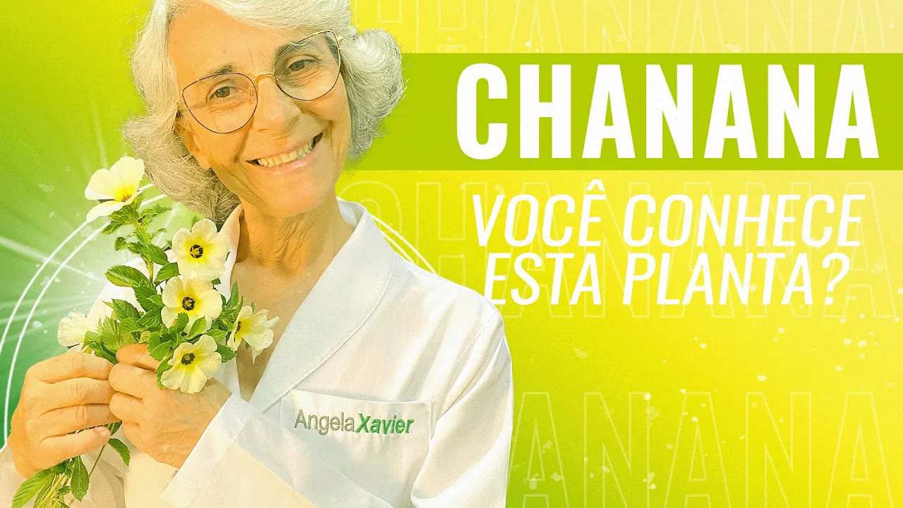 Imagem video aula doutora angela xavier alimentacao cha de chanana serve pra que aumentar a libido.webp
