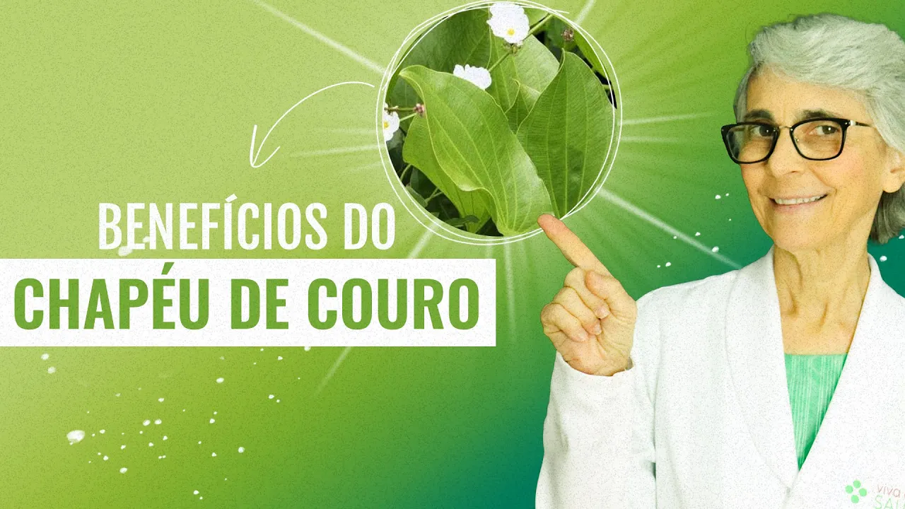 Imagem video aula doutora angela xavier alimentacao chapeu de couro hipertensao acido urico emagrecimento.webp