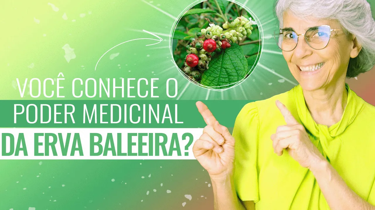 Imagem video aula doutora angela xavier alimentacao erva baleeira anti inflamatoria antibiotica cicatrizante.webp