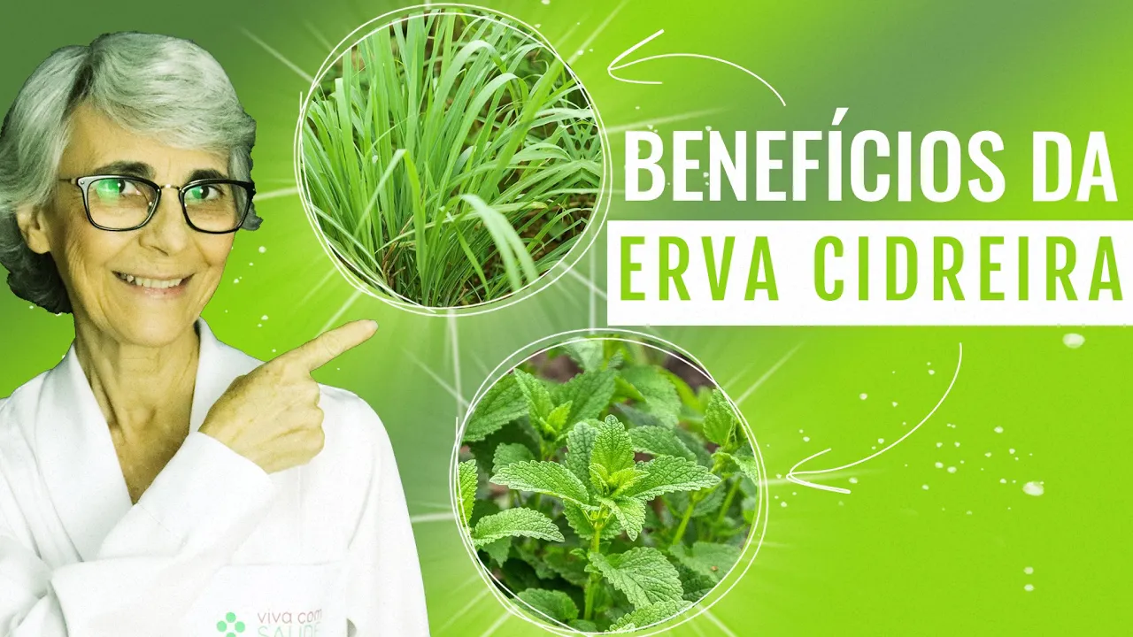 Imagem video aula doutora angela xavier alimentacao erva cidreira capim santo melissa saiba as diferencas.webp