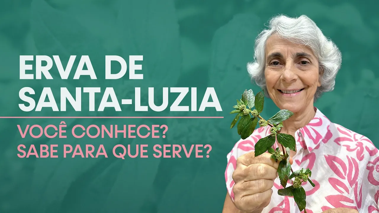 Imagem video aula doutora angela xavier alimentacao erva de santa luzia voce conhece sabe pra que serve.webp