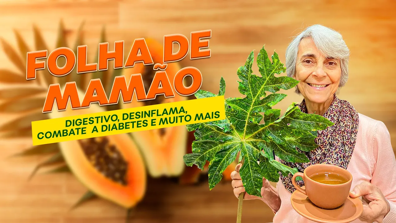 Imagem video aula doutora angela xavier alimentacao folha de mamao ativa a digestao desinflama combate diabetes e muito mais.webp