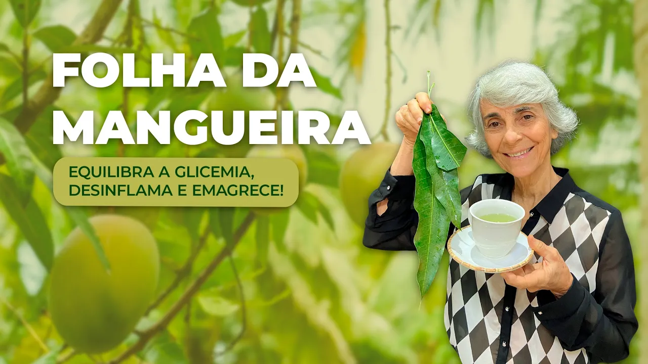 Imagem video aula doutora angela xavier alimentacao folha de manga equilibra a glicemia desinflama e emagrece.webp
