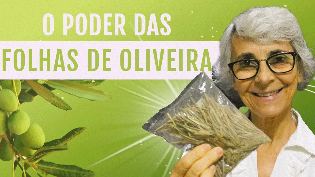 Imagem video aula doutora angela xavier alimentacao folha de oliveira emagrece controla a pressao diminui o colesterol.webp