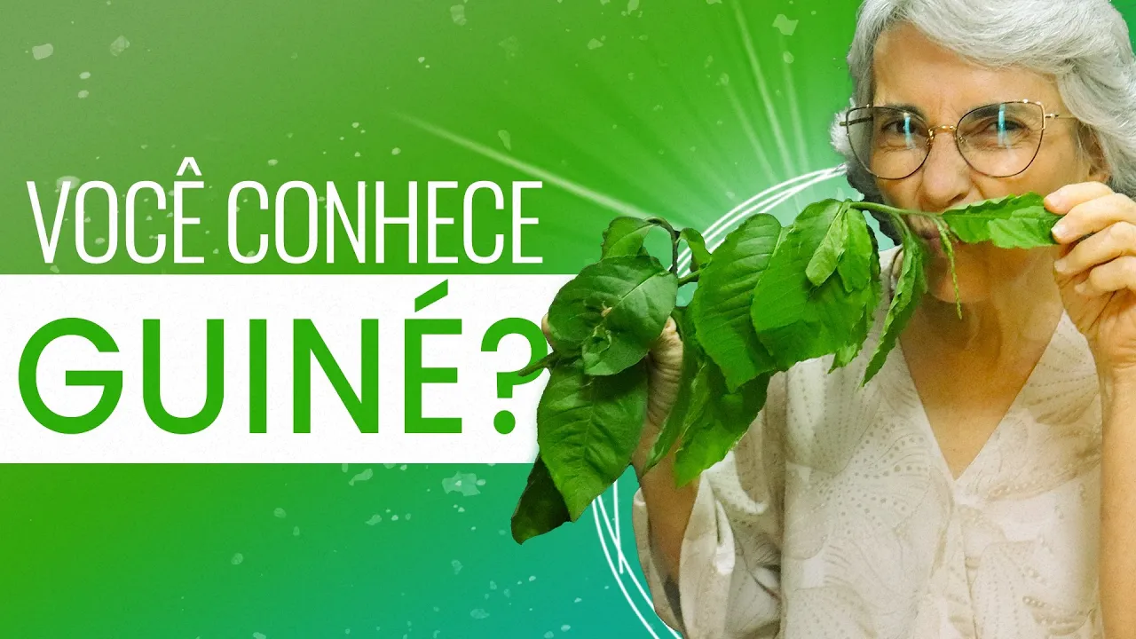Imagem video aula doutora angela xavier alimentacao guine planta te ajuda a mandar embora dores de dente de coluna insonia diabetes.webp