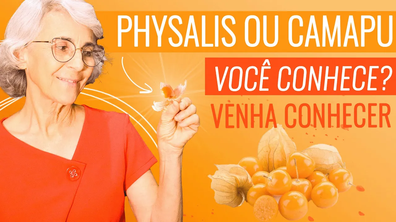 Imagem video aula doutora angela xavier alimentacao physalis que planta e essa eu garanto que nao e so enfeite.webp