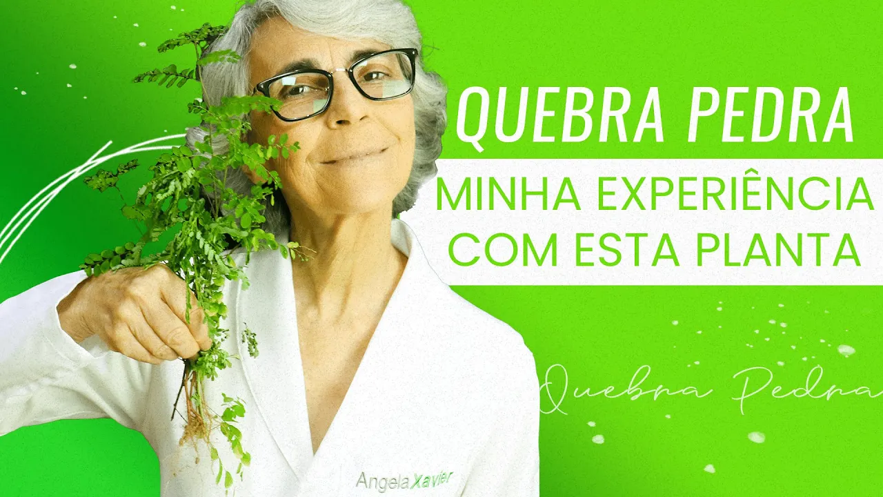 Imagem video aula doutora angela xavier alimentacao quebra pedra funciona so para melhorar a saude dos rins.webp