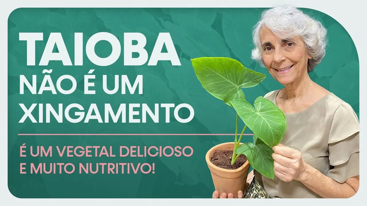 Imagem video aula doutora angela xavier alimentacao taioba e um vegetal delicioso e muito rico em vitaminas ferro e calcio.webp