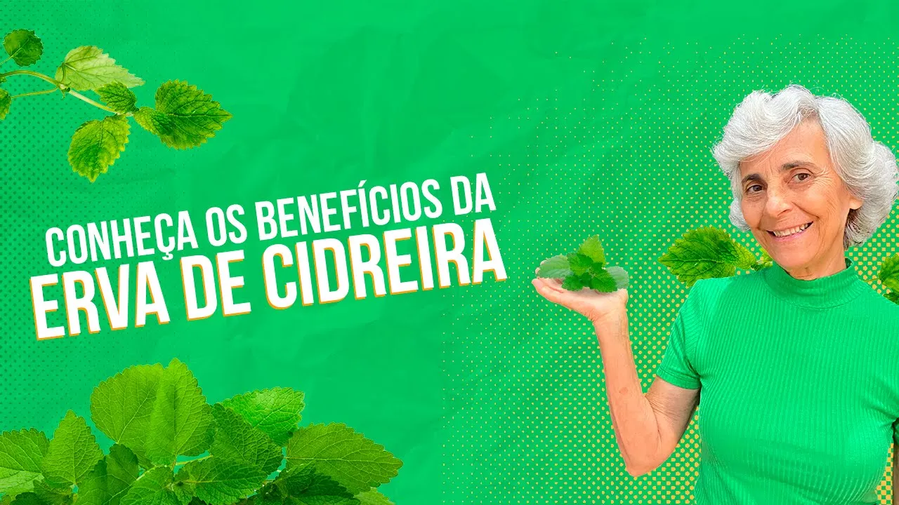 Imagem video aula doutora angela xavier saude tratamentos erva cidreira descubra seus beneficios e como usa la no dia a dia.webp