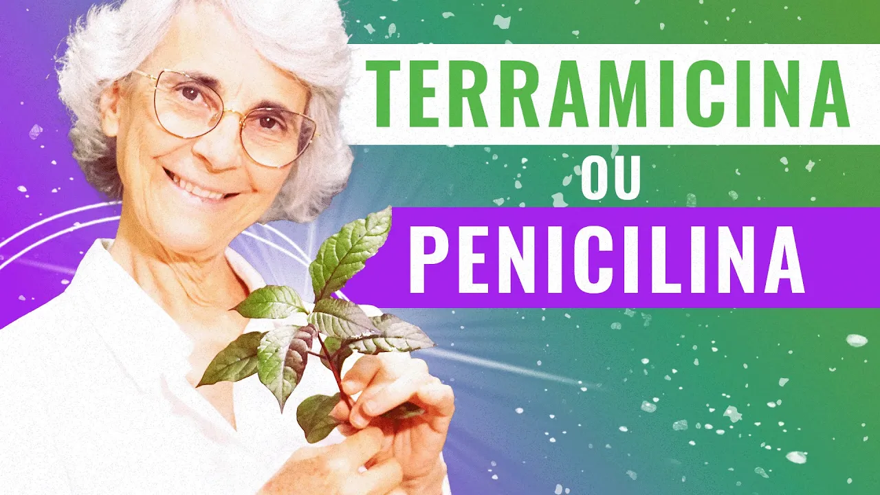 Imagem video aula doutora angela xavier saude tratamentos eu vou te mostrar esta planta que e uma panaceia.webp