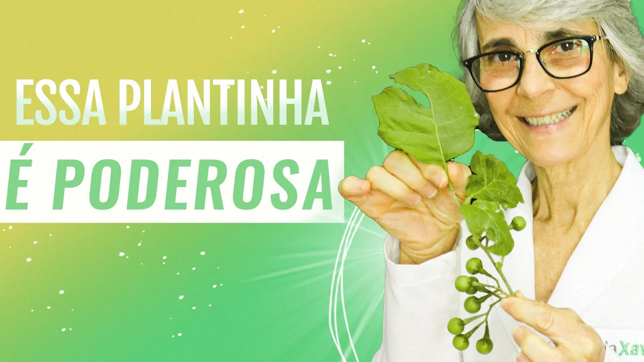 Imagem video aula doutora angela xavier saude tratamentos jurubeba protege o figado vesicula estomago e combate diabetes.webp