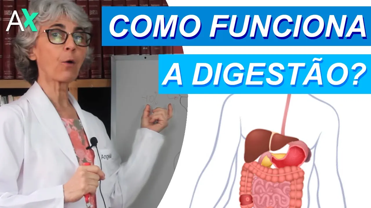 Imagem video aula doutora angela xavier saude tratamentos sistema digestorio aprenda como ocorre a digestao.webp