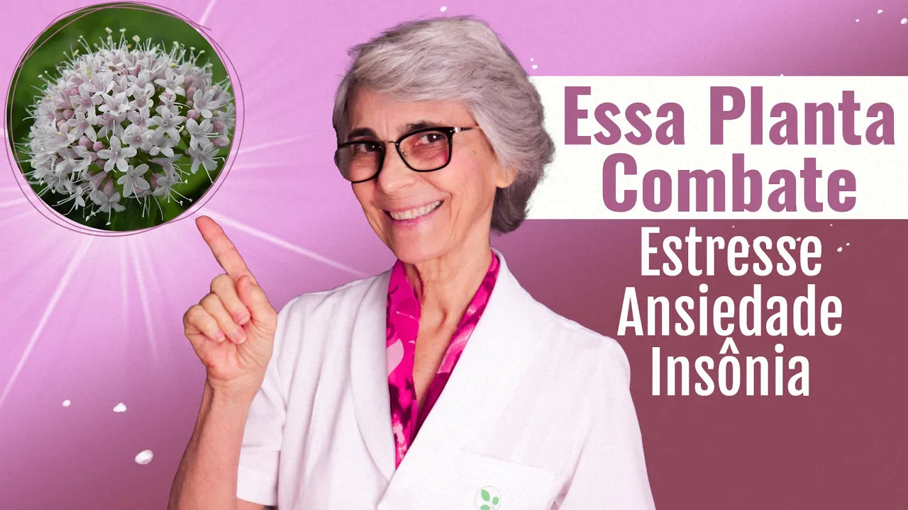 Imagem video aula doutora angela xavier saude tratamentos valeriana calmante natural.webp